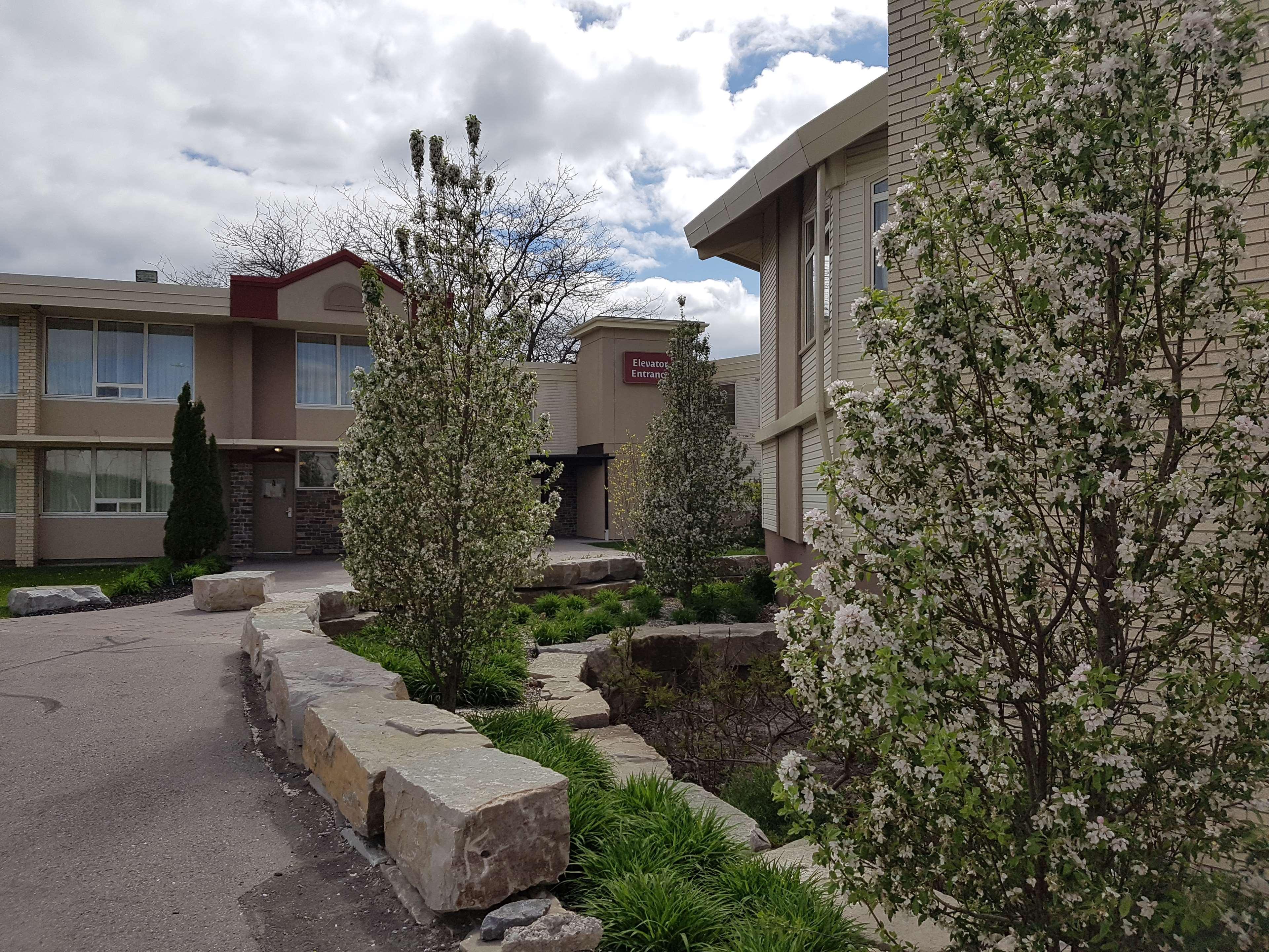 Best Western Plus Durham Hotel & Conference Centre オシャワ エクステリア 写真