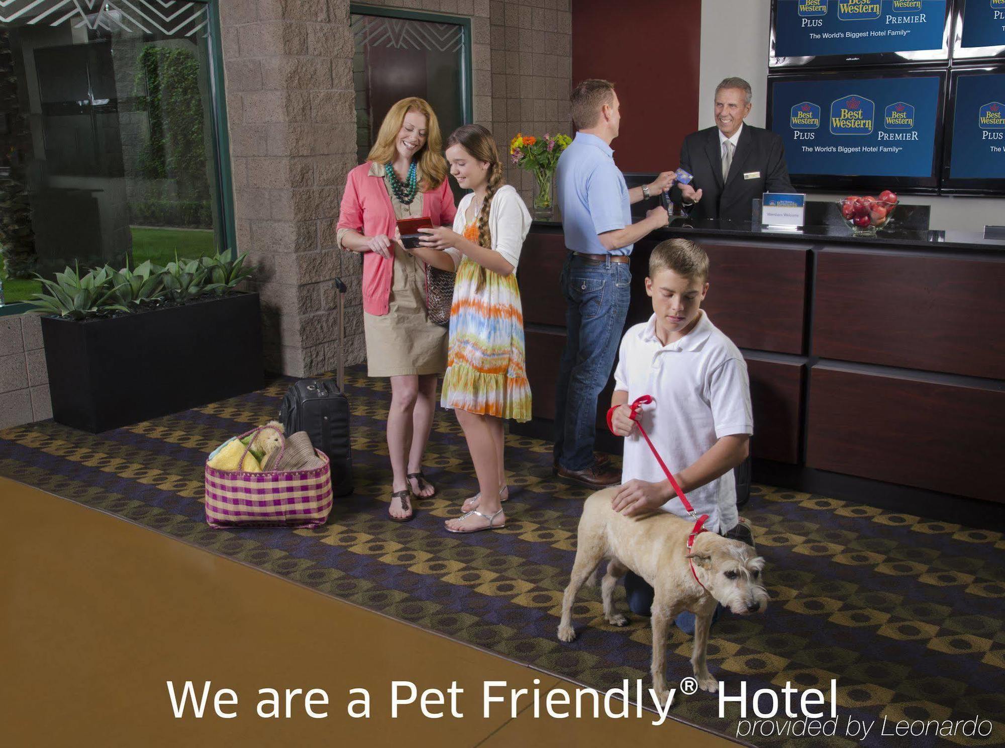 Best Western Plus Durham Hotel & Conference Centre オシャワ エクステリア 写真